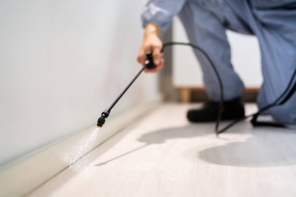 Licensed Mosquito Control service in Sharon, PA - Show Me Pest Control