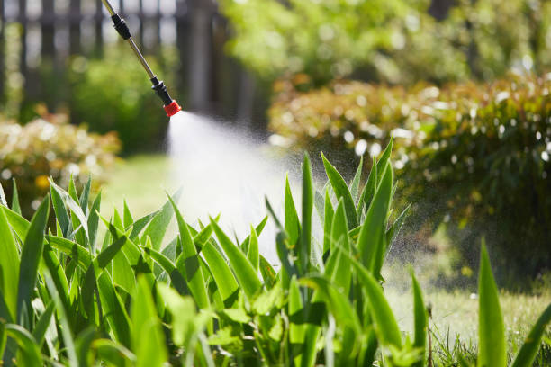 24/7 Emergency Mosquito Control experts in Sharon, PA